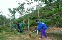 Hà Giang: Tín hiệu vui cho người dân gieo “vàng trắng”