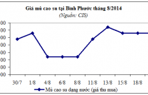 Báo cáo mặt hàng cao su tháng 8/2014