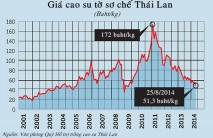 NCPO Thái Lan tạm dừng kế hoạch mở bán 210.000 tấn cao su dự trữ