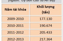 Nhập khẩu cao su thiên nhiên của Ấn Độ dự báo tăng mạnh