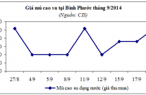 Báo cáo ngành hàng cao su tháng 9/2014