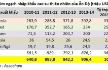 Nhập khẩu cao su Ấn Độ 2014-2015 ước đạt 1 tỷ USD