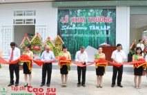 Nệm Đồng Phú tăng tiêu thụ cao su nội địa