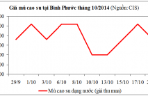 Báo cáo ngành hàng cao su tháng 10/2014