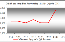 Báo cáo ngành hàng cao su tháng 11/2014