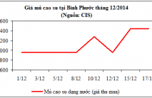 Báo cáo mặt hàng cao su tháng 12/2014