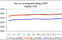 Báo cáo ngành hàng cao su tháng 2/2015