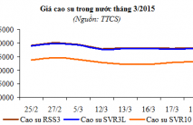 Báo cáo ngành hàng cao su tháng 3/2015