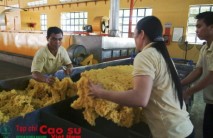 Giá cao su có phục hồi?