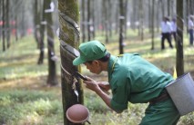 Giải pháp kỹ thuật khi áp dụng cạo D4