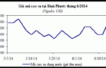 Báo cáo ngành hàng cao su: tháng 6/2014