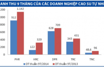 Doanh nghiệp cao su tự nhiên đối mặt với 4 giảm