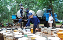 Người trồng cao su lao đao, địa phương vẫn muốn nhân rộng