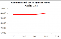 Tình hình thị trường cao su tuần đến ngày 23/1/2015