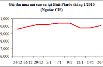 Báo cáo mặt hàng cao su tháng 1/2015