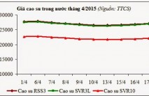 Báo cáo ngành hàng cao su tháng 4/2015