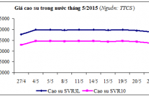 Báo cáo ngành hàng cao su tháng 5/2015