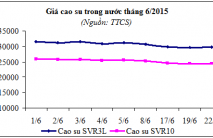 Báo cáo ngành hàng cao su tháng 6/2015